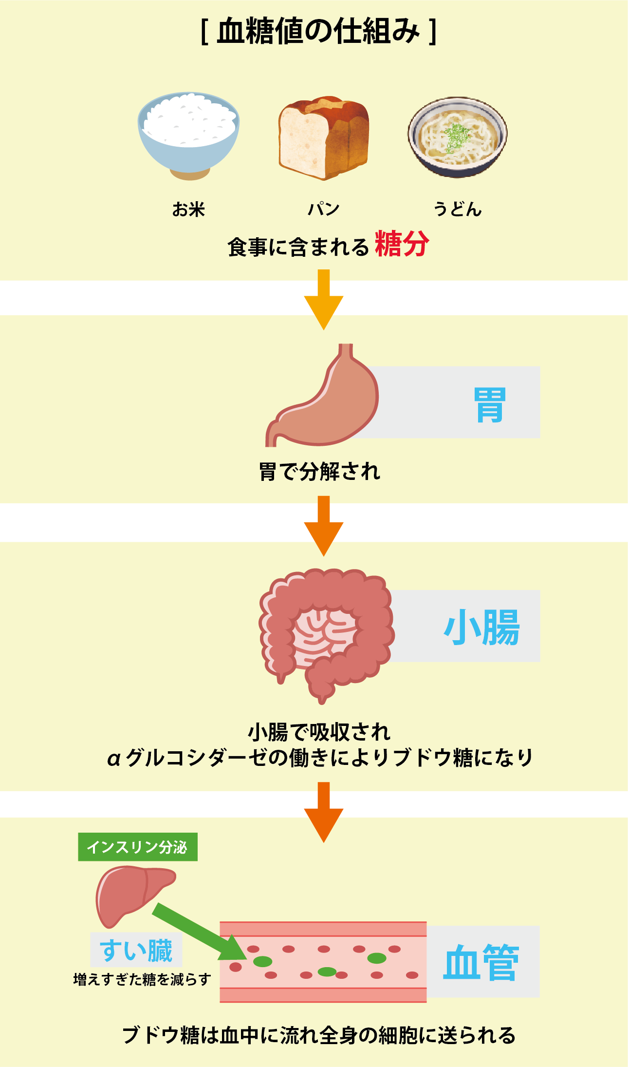 血糖値の仕組み