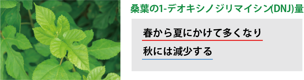 デオキシノジリマイシン