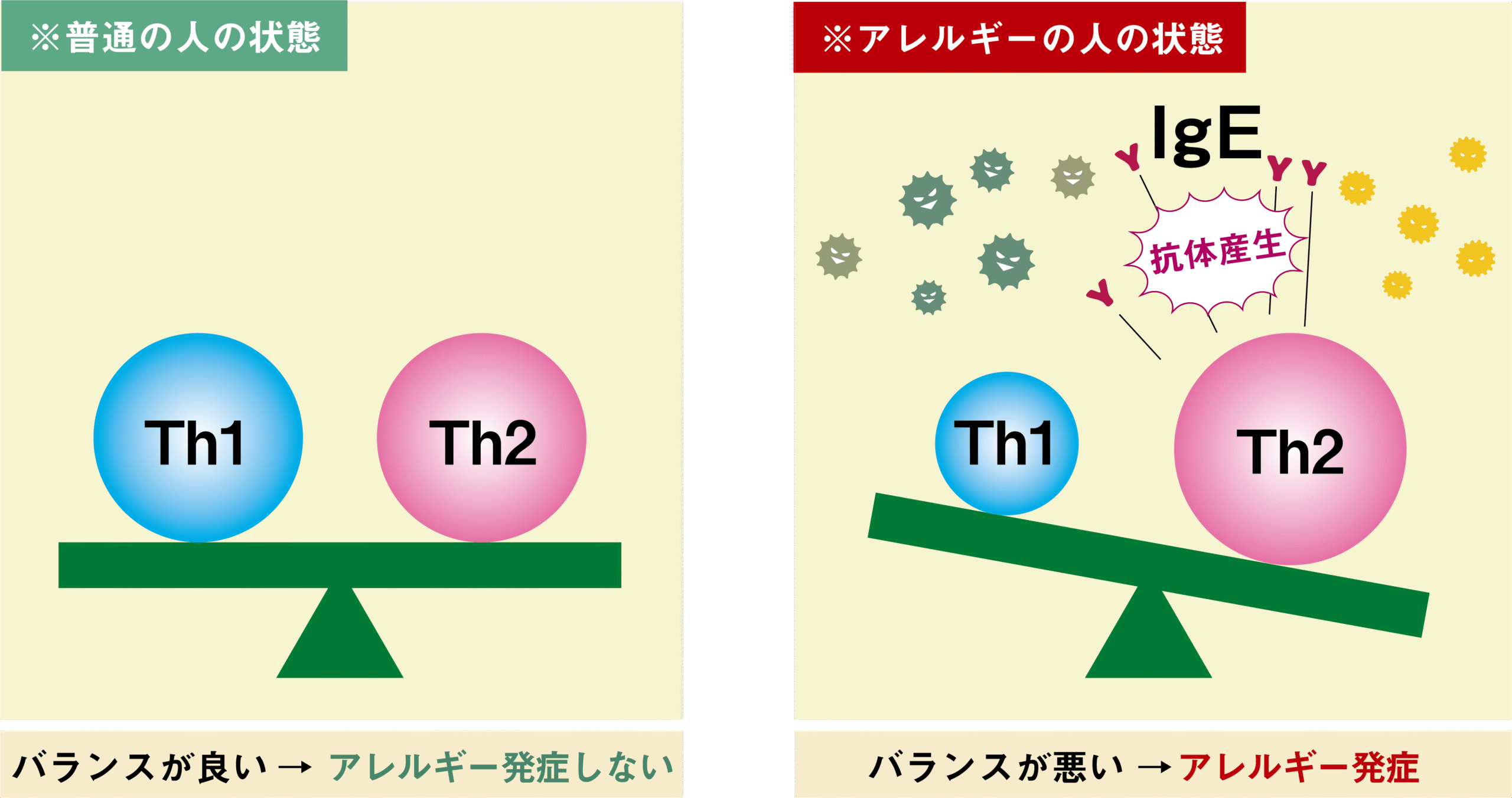 Th1とTh2のバランス