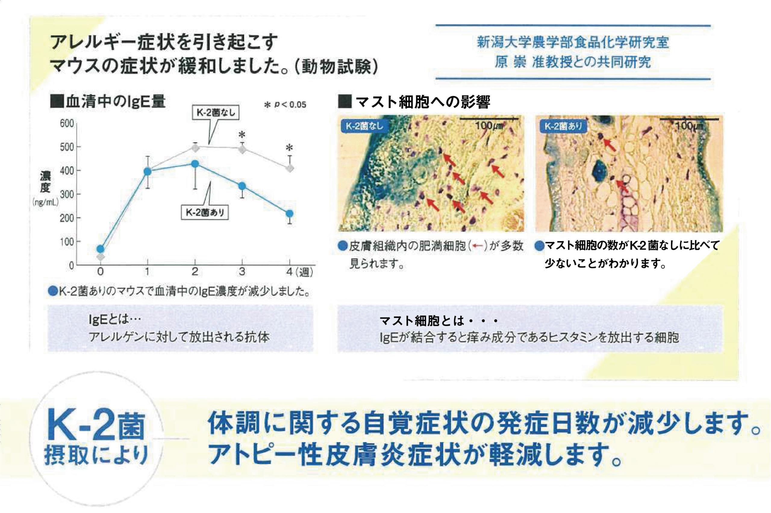 K-2乳酸菌の効果実験結果