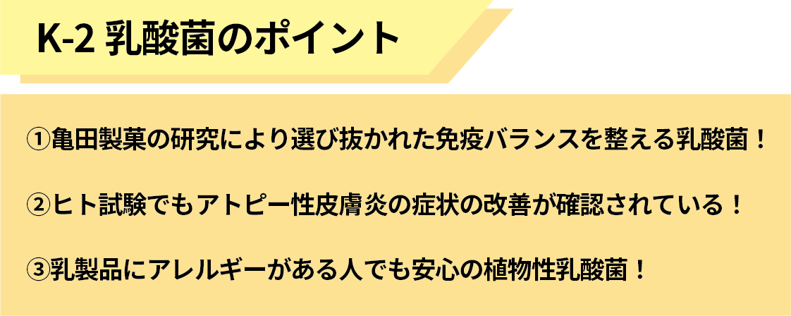 K-2乳酸菌のポイント